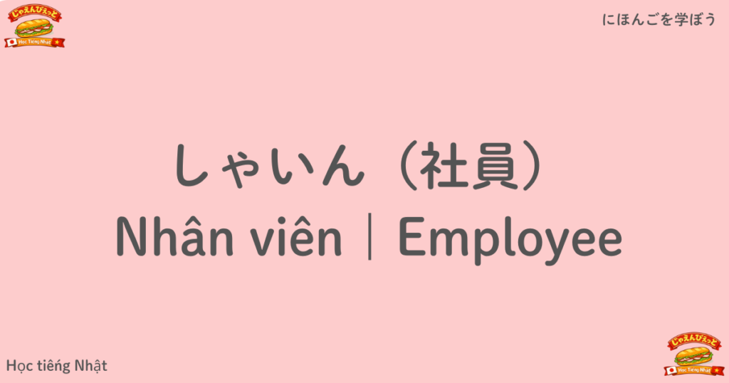 しゃいん（社員）｜Nhân viên｜Employee